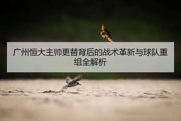 广州恒大主帅更替背后的战术革新与球队重组全解析